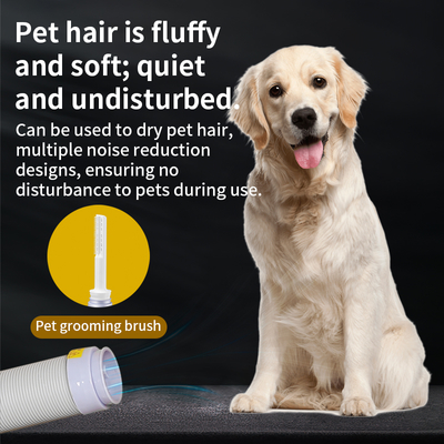 CE Certified 2-in-1 Compact Clothes Shoe Dryer Touch Screen Fast Heating Hose Portable for Dorm/Home Use Free Ventilation