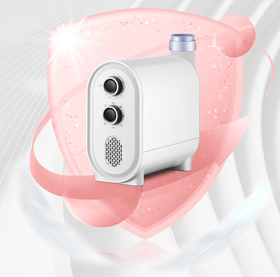 Multifunctional Electric Shoe Dryer for Household and RV Quilt Warmer with Leafless Fan for Home Heater and Garage Warming